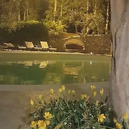 Bellaria Aparthotel