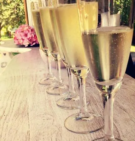 Bellaria Apart-hotel 3*