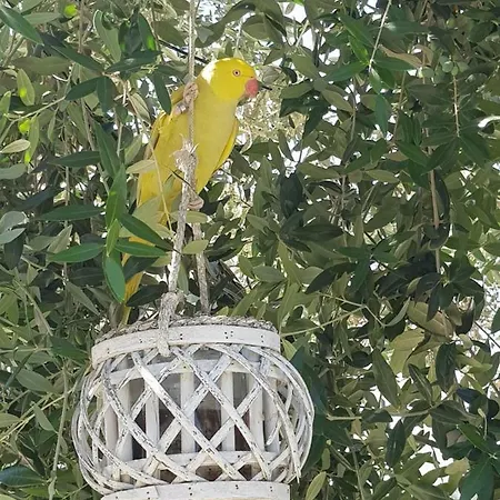 Bellaria Apart-hotel 3*